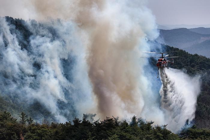韩国发生大规模山火 多地进入“灾难状态”